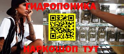 мяу мяу мука Бугуруслан