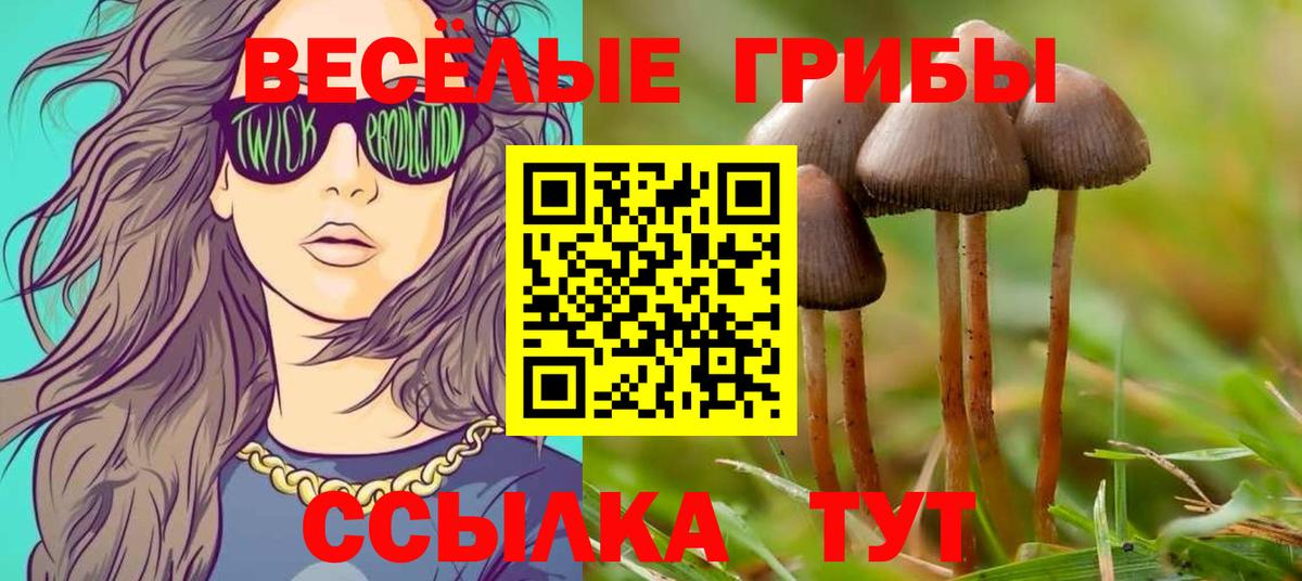 закладки  Псилоцибиновые грибы мицелий  Вход с VPN  Чехов 