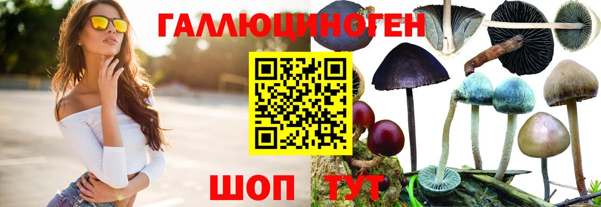 Псилоцибиновые грибы MAGIC MUSHROOMS Чехов